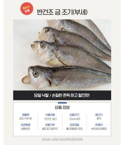 속초 금조기/1마리