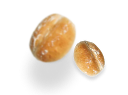 PORTUGUESE ROLL