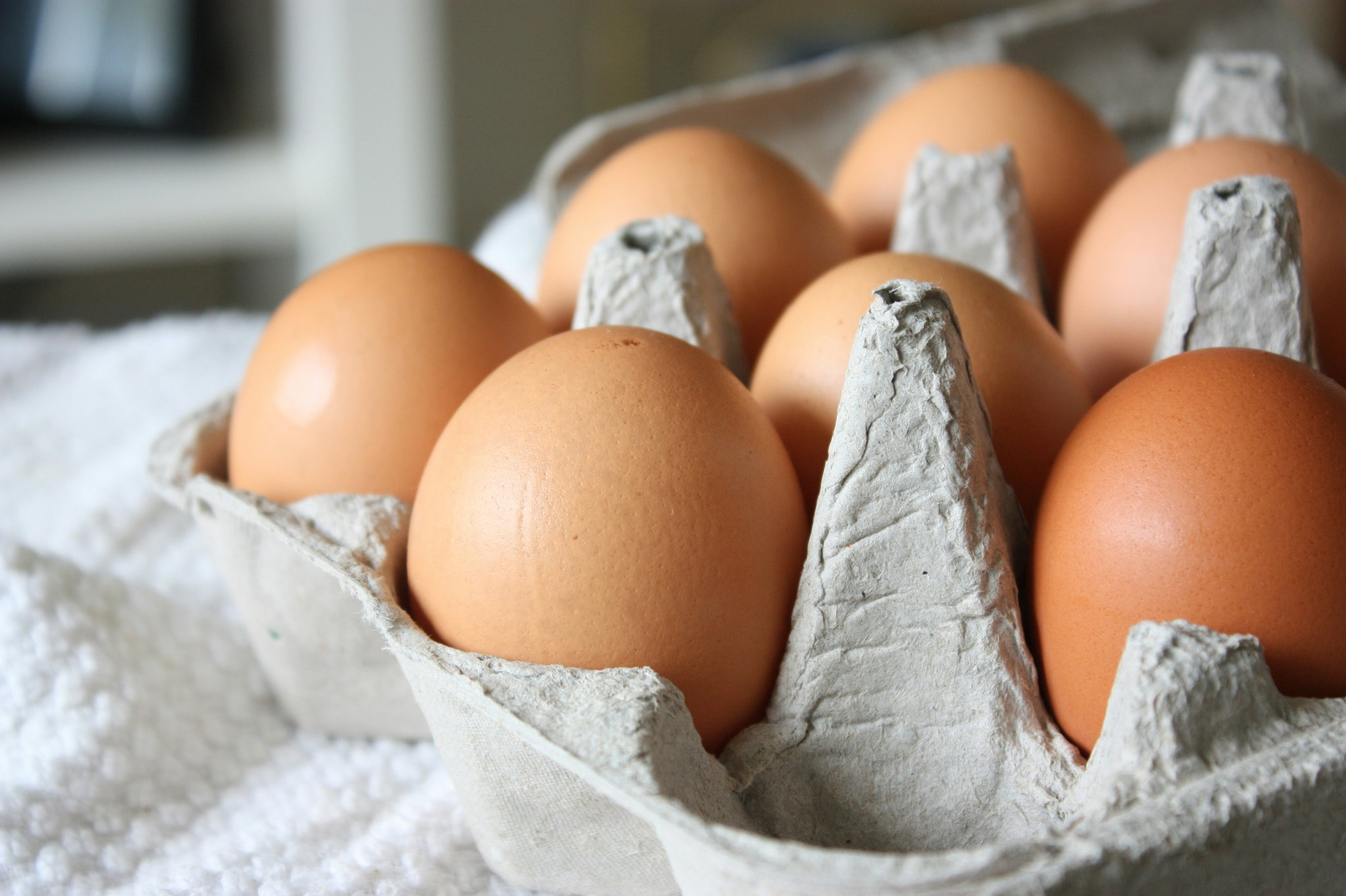 Eggs _0