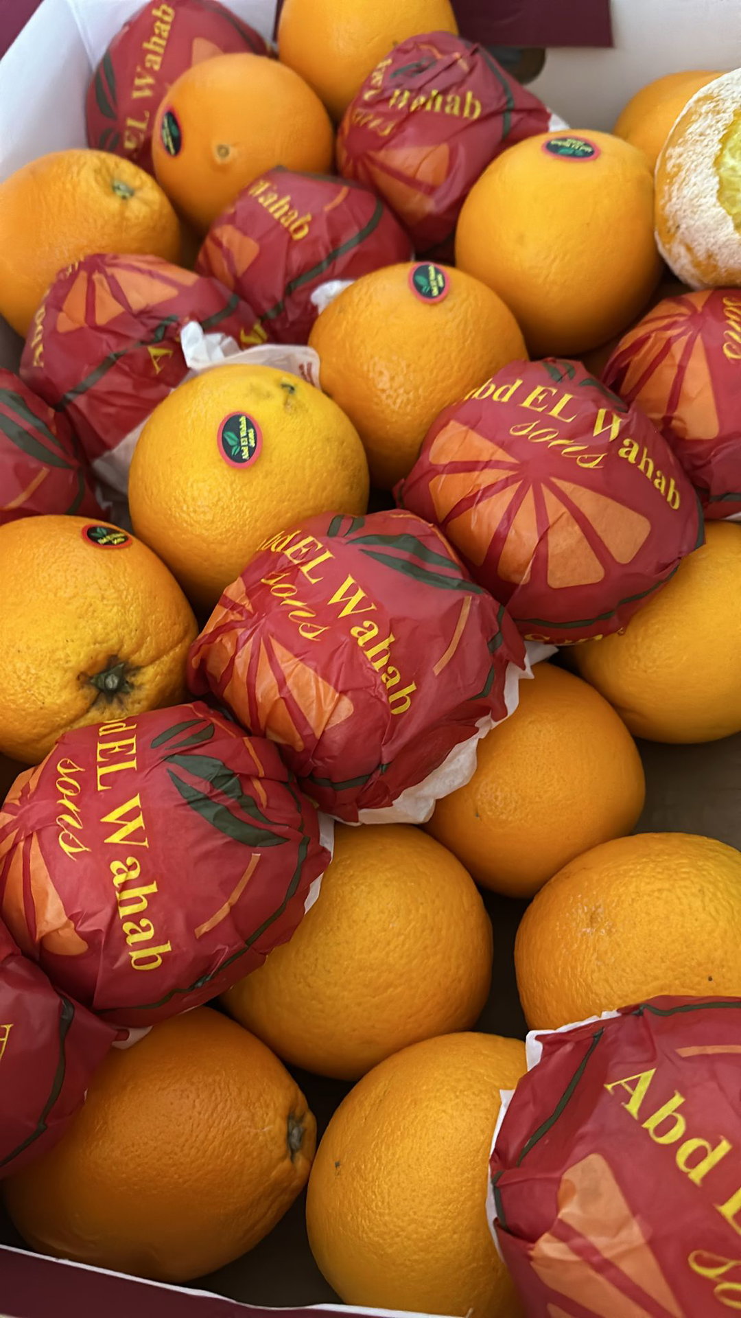 Navel Orange 5pc