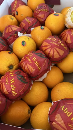 Navel Orange 5pc