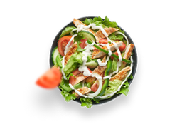 HEALTHY CHOICE