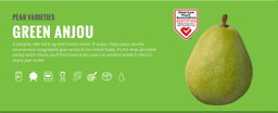 Green Anjou Pears - 5CT 
