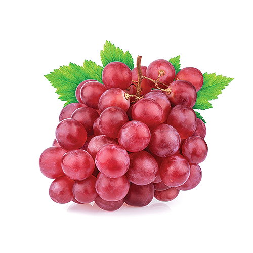 Grapes- Globe