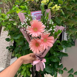 Tiny Gerberas