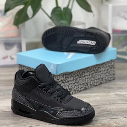 Air Jordan 3 Black Cat 