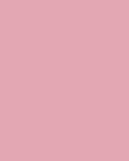 PLAIN BACKGROUND PACKAGE 1