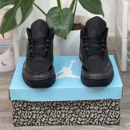 Air Jordan 3 Black Cat 