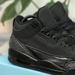 Air Jordan 3 Black Cat 