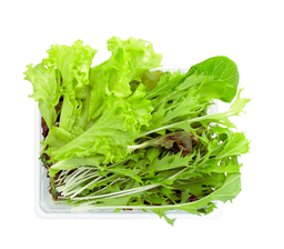 Mixed Salad (120 G)