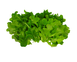 Salad (by Meod Farm-100% PESTICIDE FREE !)