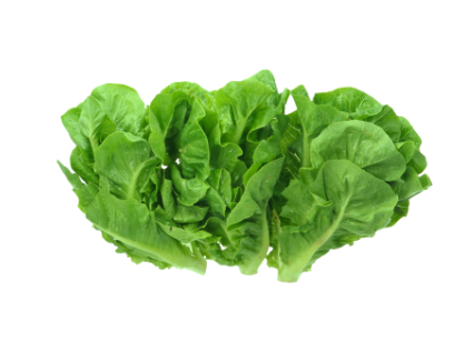 COS Lettuce (150 G) _0