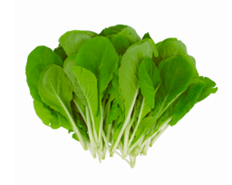 Local Green ( by Meod Farm - 100% PESTICIDE FREE ! )