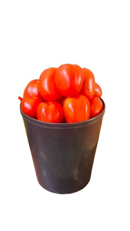 LEGUMES