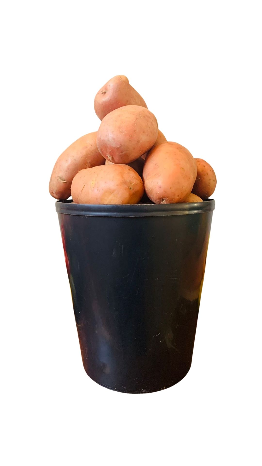 batata rena vermelha _0
