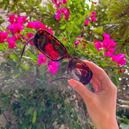Rétro Sunglasses 