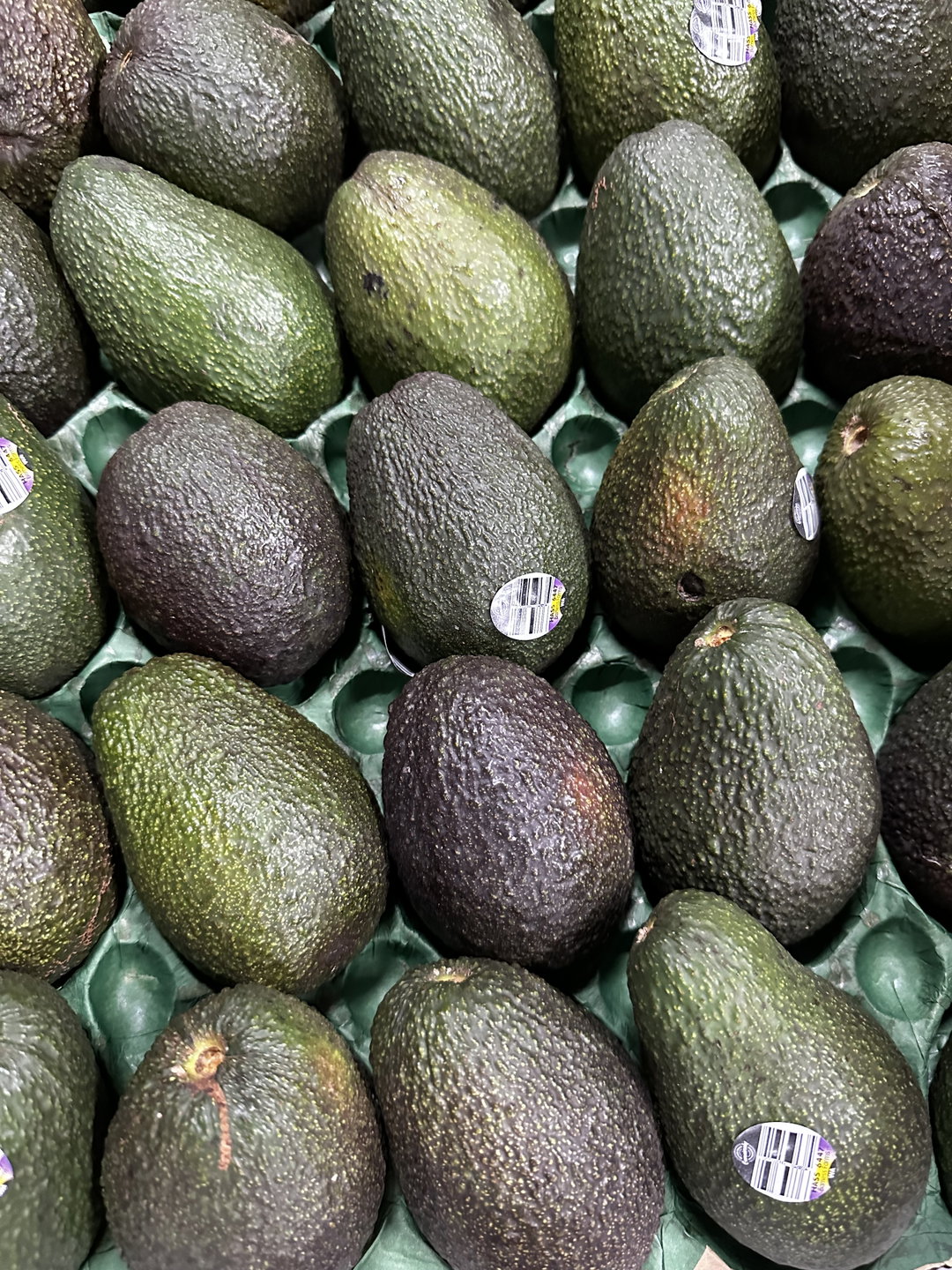 Premium avocado Hass products of Australia 4 PCs 澳大利亚优质牛油果哈斯产品 4件