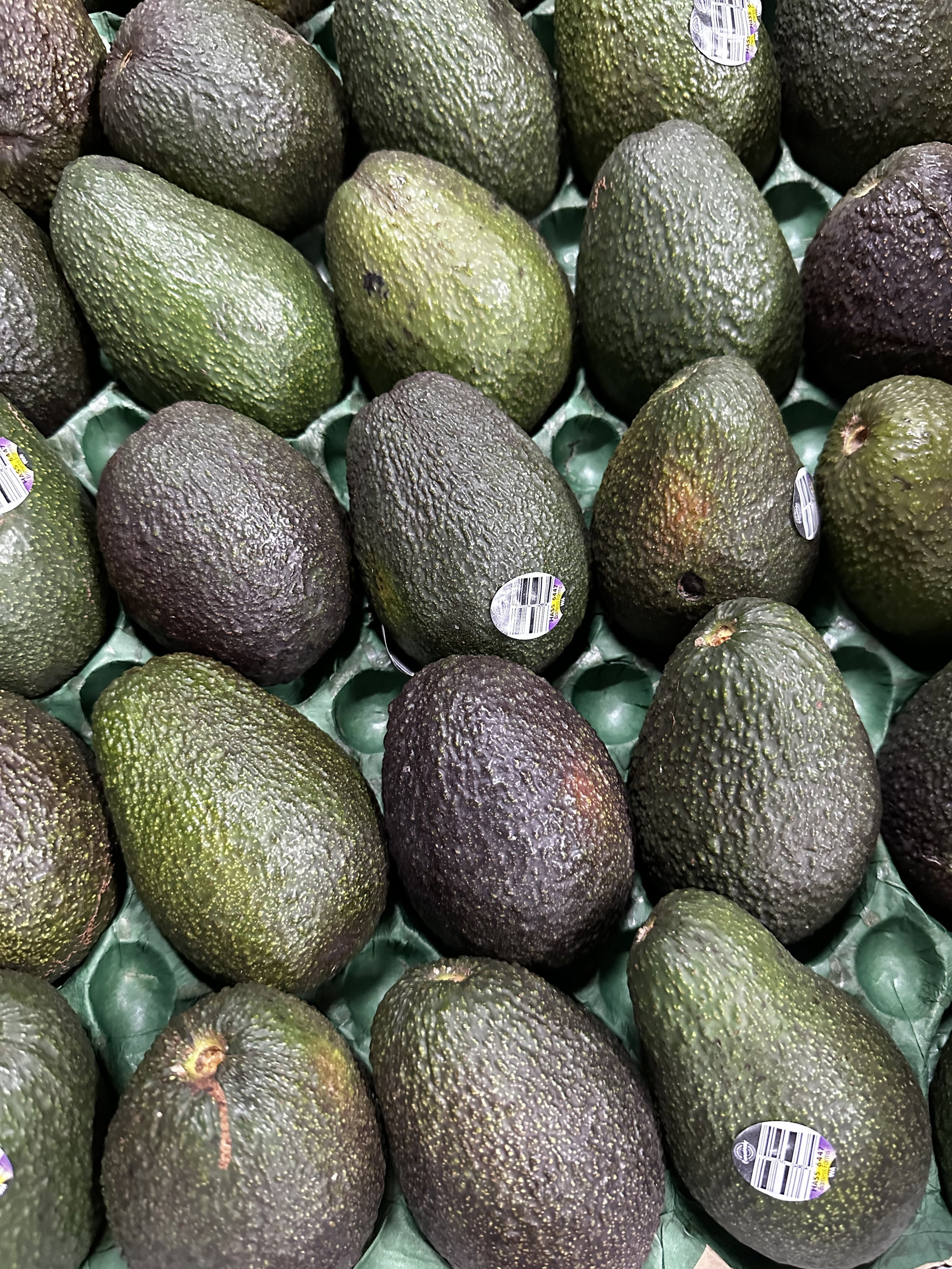 Premium avocado Hass products of Australia 4 PCs 澳大利亚优质牛油果哈斯产品 4件_0