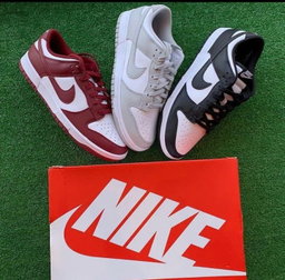 Nike dunk 