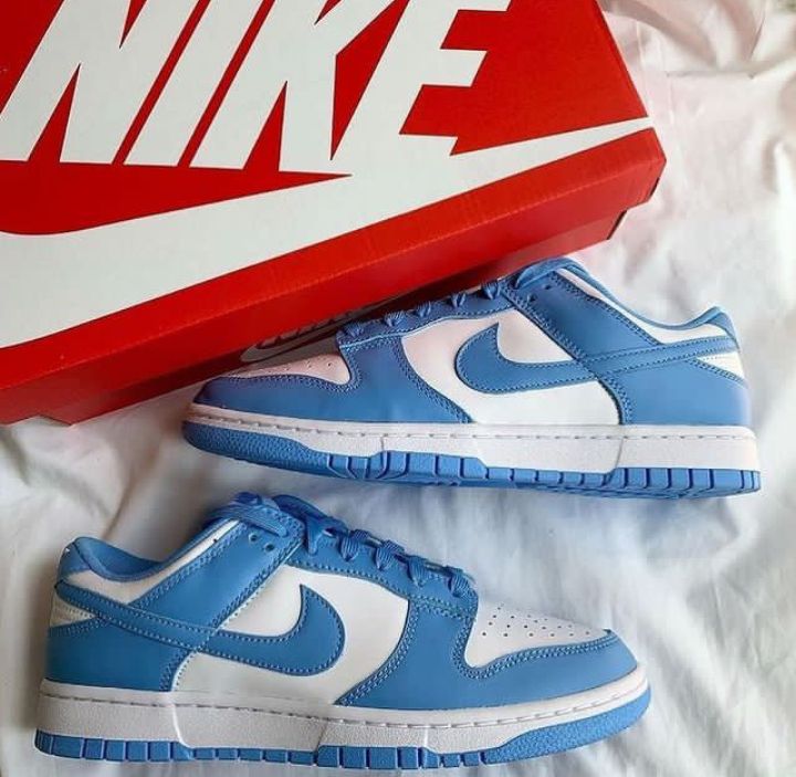 Nike dunk low _3