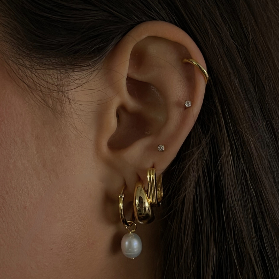 Fancy Nancy Earrings_2