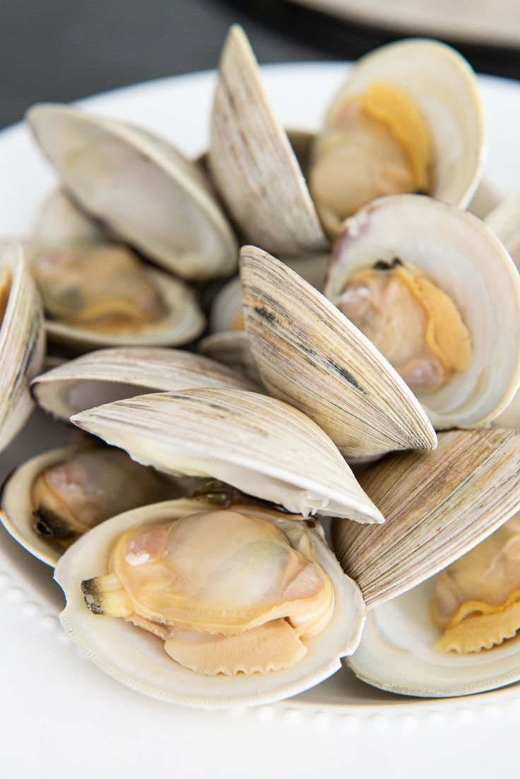 Clams_0
