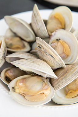 Clams