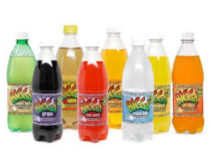 Bigga Flovoured Soft Drinks (600 ml)