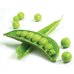 Peas (njegere)