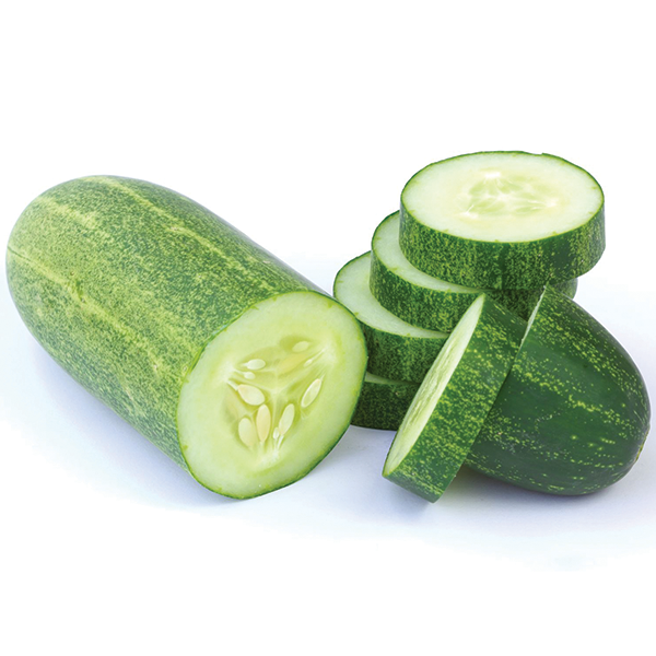 Cucumber