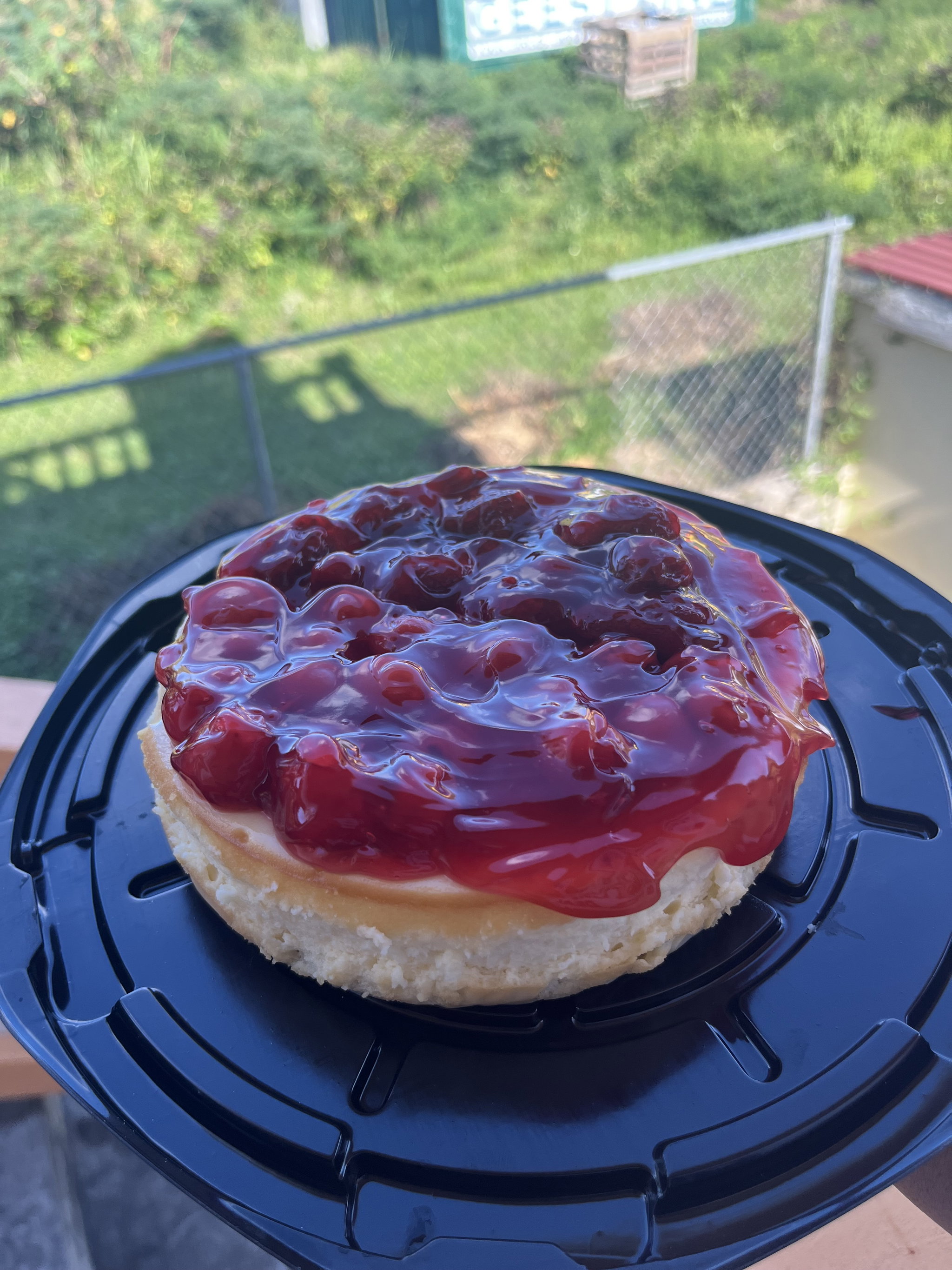 Cherry cheesecake_0