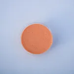 Sriracha mayo_0