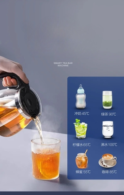 Multi-functional Electric Tea Boiler
