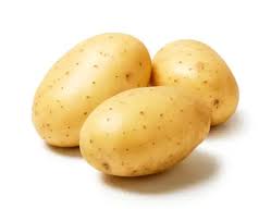 Potato - Holland