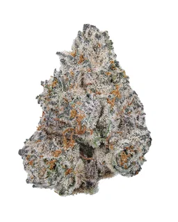 Flower - Indoor Premium 