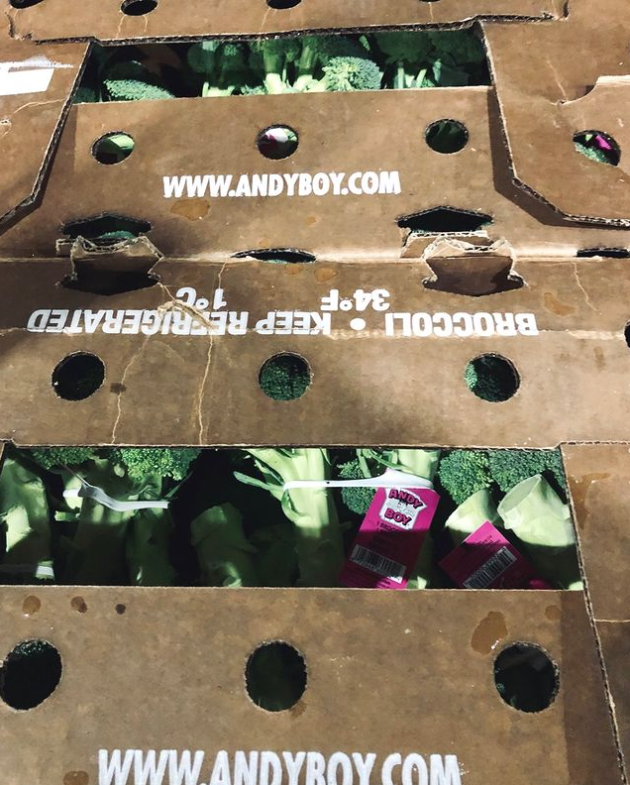 Broccoli 14ct_1
