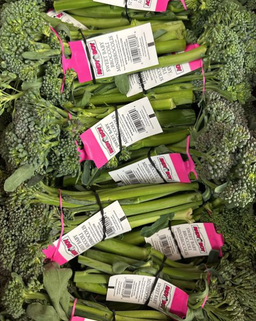 Broccolini Artesian-18CT
