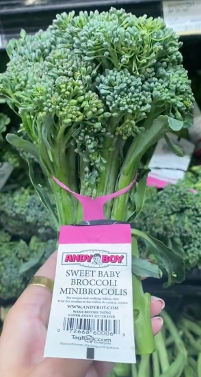 Broccolini Artesian-18CT_0