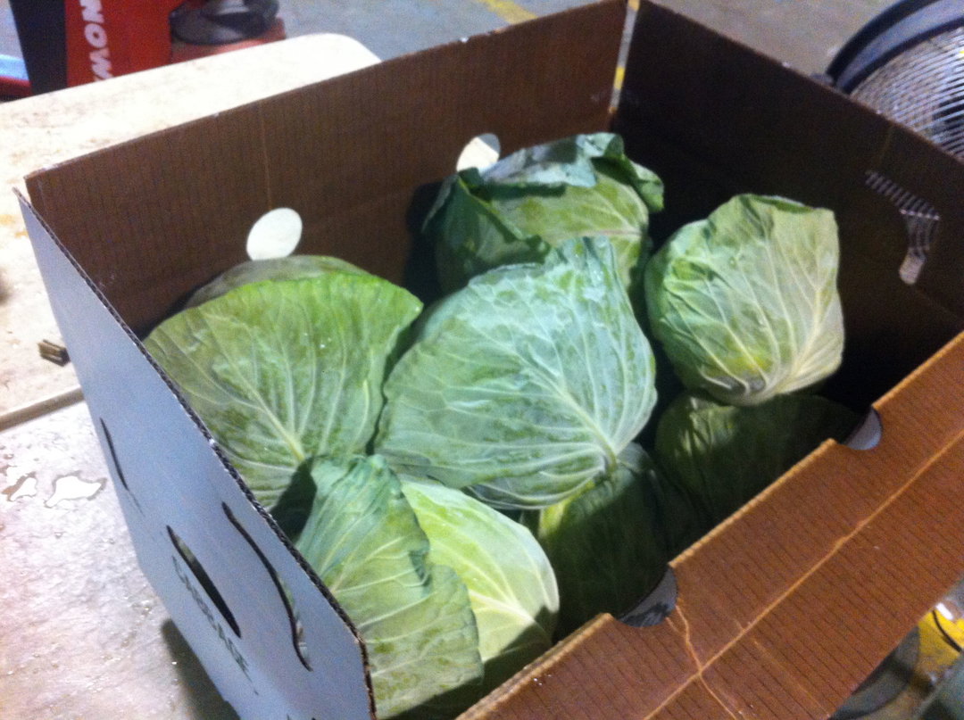 Cabbage Green Box