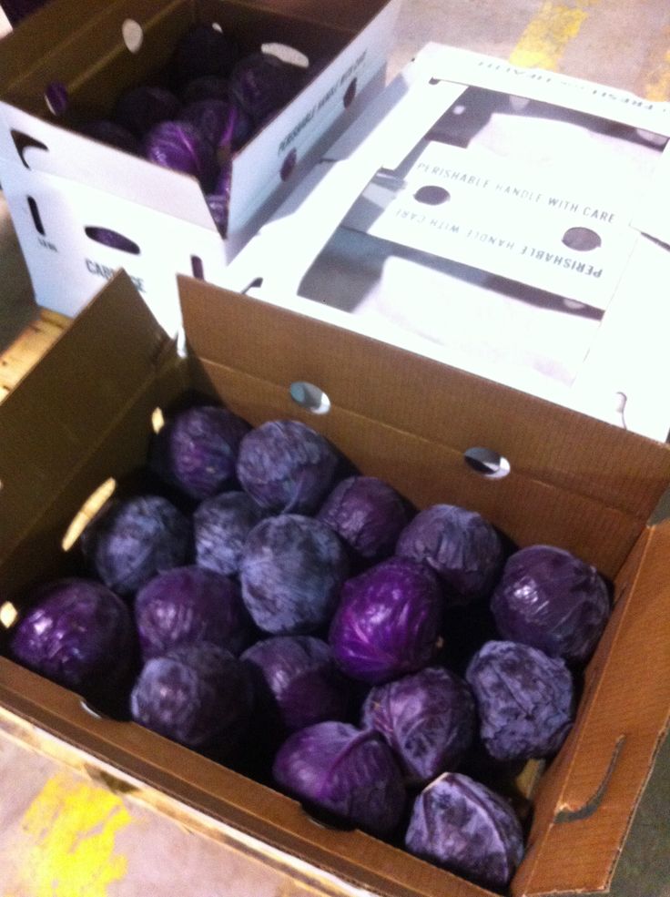 Cabbage Red Box 50lb_1