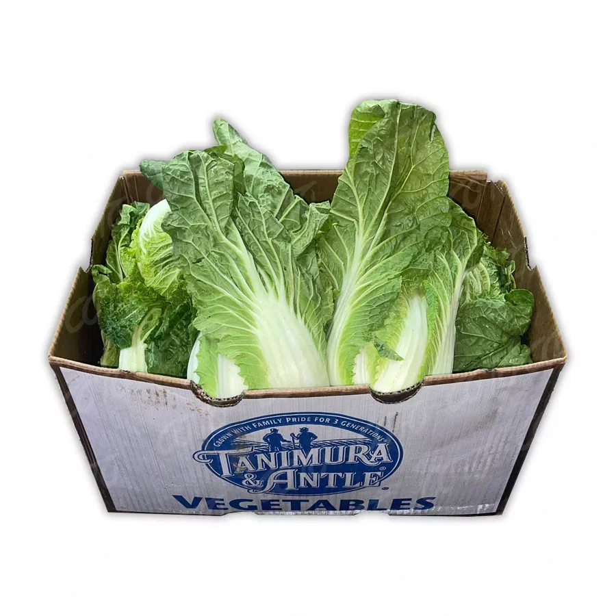 Cabbage Napa 30ct_0