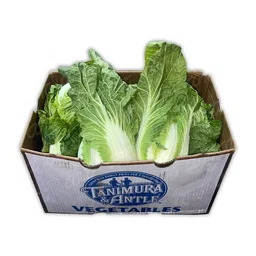 Cabbage Napa 30ct