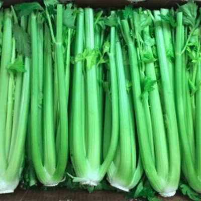 Celery Stalk 36ct_0