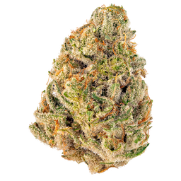 Super Cheese