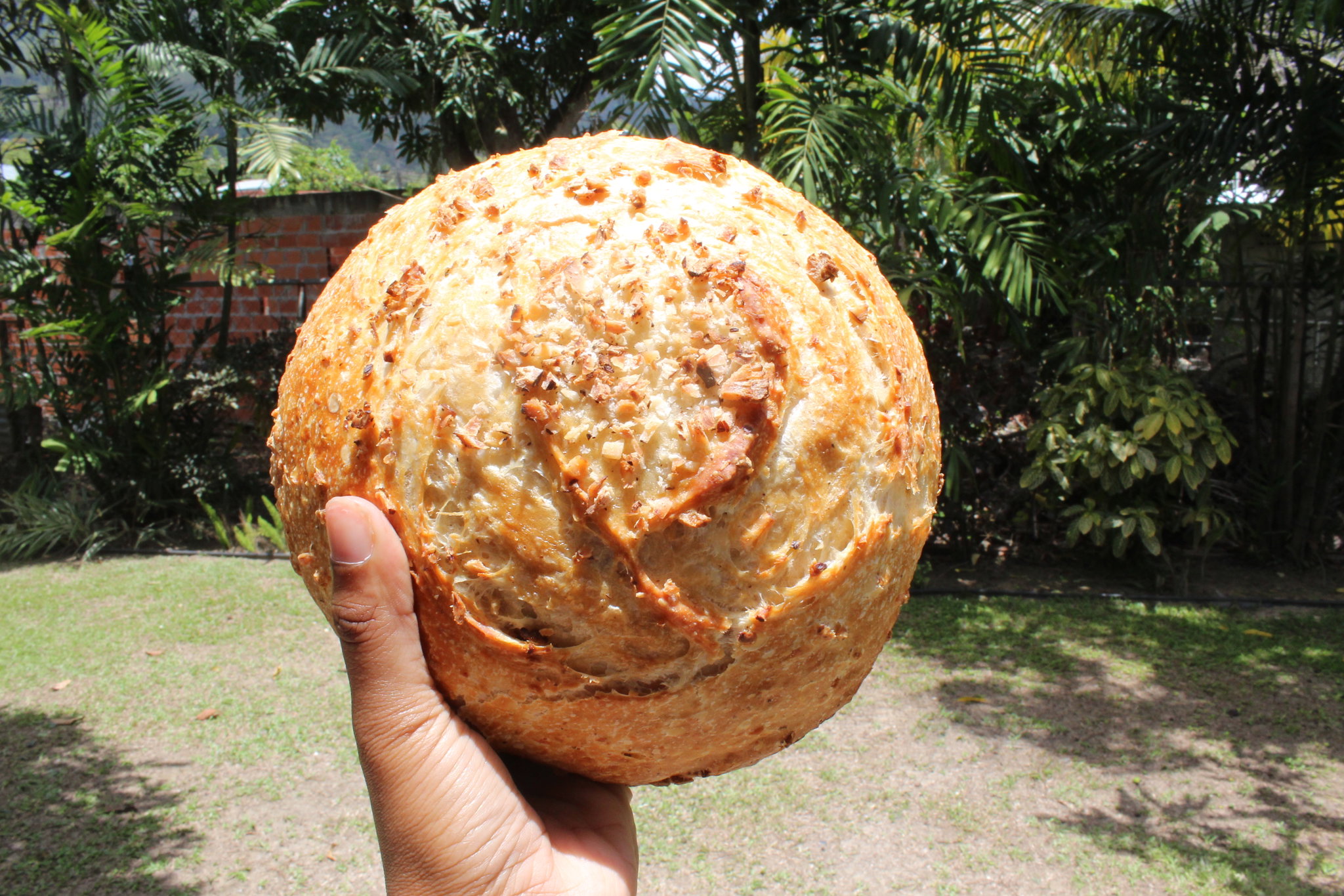 Coconut Sourdough_0