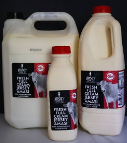 Maas - Fermented milk with ACTIV Probiotics