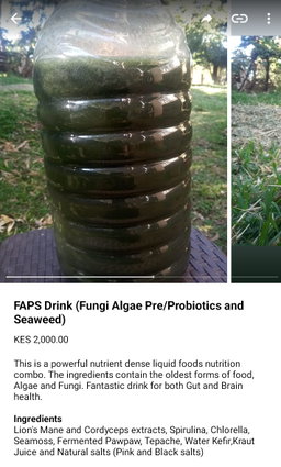 Gut Health