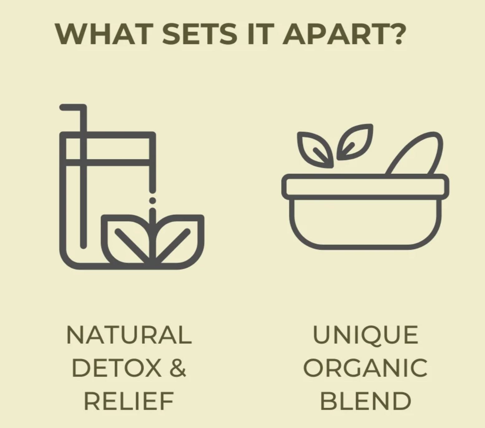 MILAMIAMOR - TERRA SANTA DETOX TEA_4