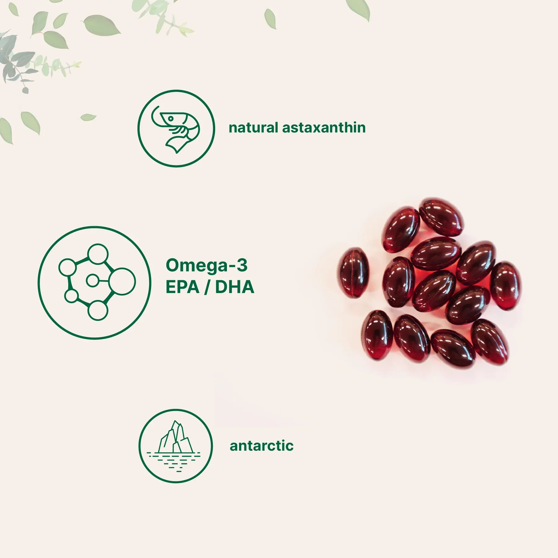Antarctic Krill Oil with Omega 3- 300 softgels_1