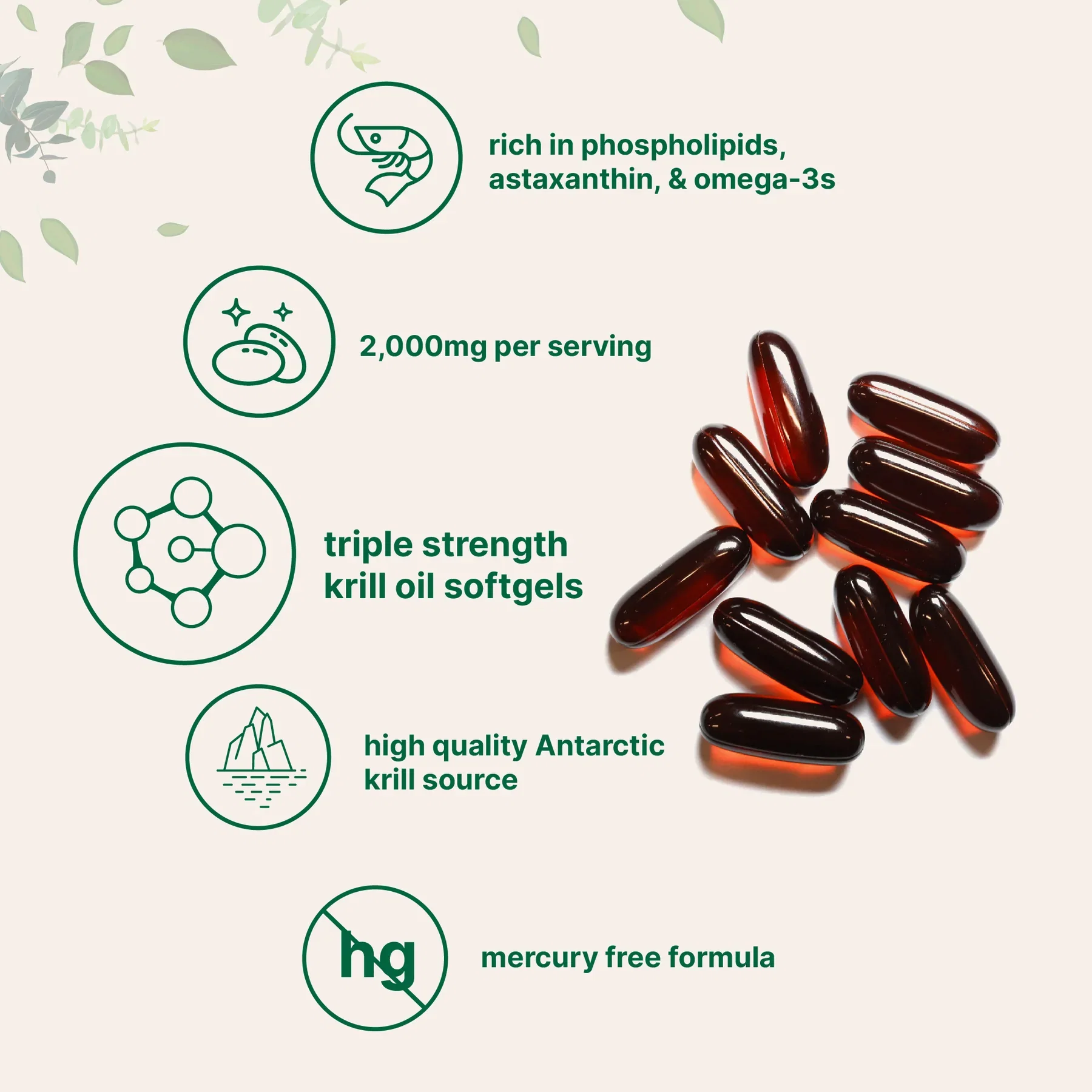 Antarctic Krill Oil, 240 softgels_1